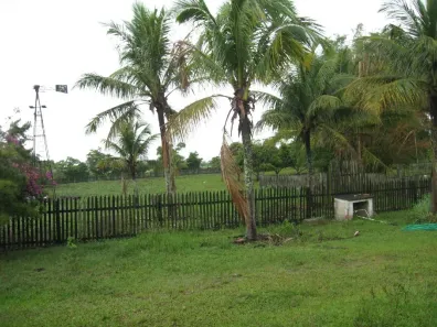 Fazenda/Sítio com 3 Quartos à venda, 22687m² no Goitacazes, Campos dos Goytacazes