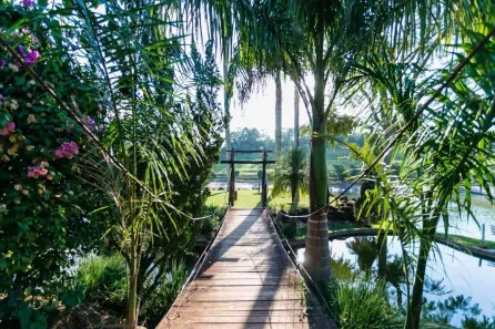Lote/Terreno à venda, 1300m² no Esperança, Londrina