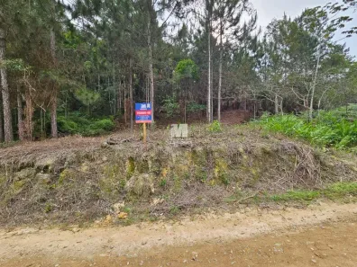 Fazenda/Sítio à venda, 20000m² no Alsácia, Guabiruba
