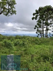 Lote/Terreno à venda, 72600m² no , Paraisópolis