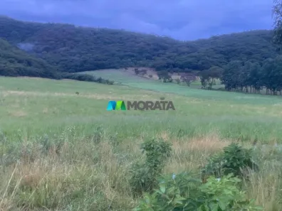 Fazenda/Sítio com 1 Quarto à venda, 317m² no , Jequitibá