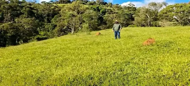 Lote/Terreno à venda, 10000m² no , Estiva
