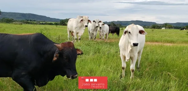 Fazenda/Sítio à venda, 9123400m² no , Campos Lindos