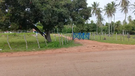 Fazenda/Sítio com 2 Quartos à venda, 3290000m² no Centro, Touros