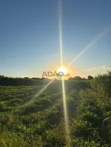 Fazenda/Sítio à venda, 290m² no , Guapó