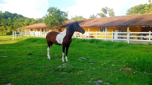 Fazenda/Sítio com 1 Quarto à venda, 4000m² no Papucaia, Cachoeiras de Macacu