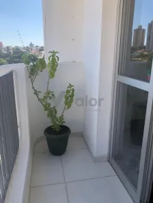 Apartamento com 3 Quartos para venda ou aluguel, 92m² no Cambuí, Campinas