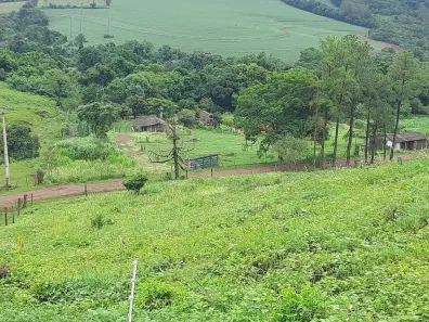 Fazenda/Sítio à venda, 42000m² no Selva, Londrina