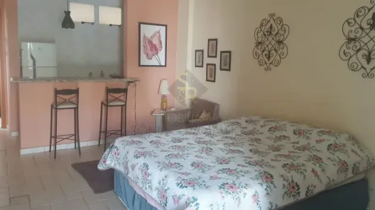 Kitnet com 1 Quarto para alugar, 30m² no Nova Aliança, Ribeirão Preto