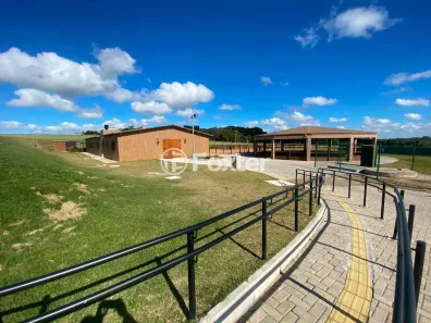 Lote/Terreno à venda, 707m² no Laranjal, Pelotas