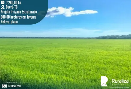 Fazenda/Sítio à venda, 7260m² no , Dueré