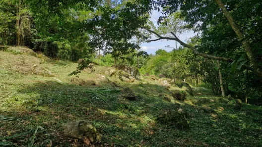 Lote/Terreno à venda, 3367m² no Macacu, Garopaba