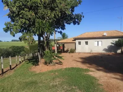 Fazenda/Sítio com 4 Quartos à venda, 1200m² no , Bady Bassitt