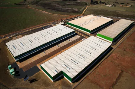Galpão/Depósito/Armazém para alugar, 1820m² no Jardim Salgado Filho, Ribeirão Preto