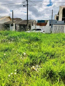 Lote/Terreno à venda, 250m² no Floresta, Cascavel