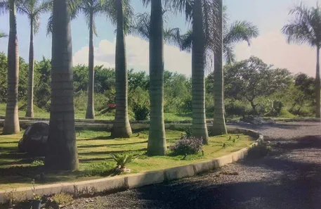 Fazenda/Sítio à venda, 60000m² no Região dos Lagos, Brasília