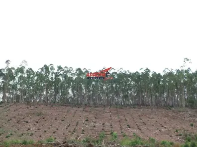 Fazenda/Sítio com 1 Quarto à venda, 360000m² no , Paula Cândido