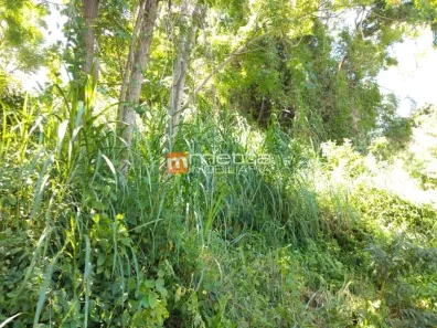 Lote/Terreno à venda, 480m² no Saco Grande, Florianópolis