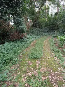 Lote/Terreno com 1 Quarto à venda, 8727m² no Chácara Pavoeiro, Cotia