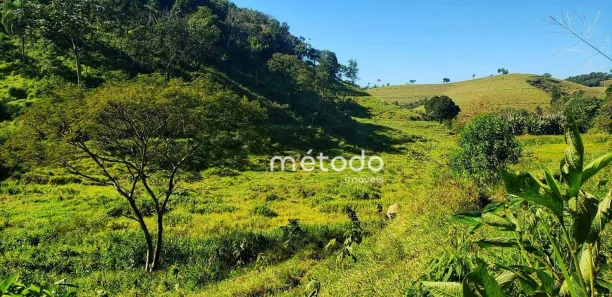 Fazenda/Sítio à venda, 131833m² no Luiz Carlos, Guararema