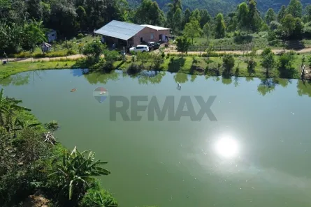 Fazenda/Sítio com 2 Quartos à venda, 36000m² no , Pedras Grandes
