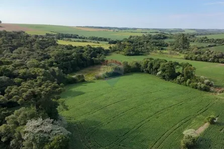 Fazenda/Sítio à venda, 73668m² no , Nonoai