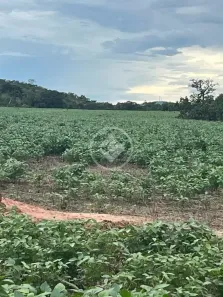 Fazenda/Sítio à venda, 18m² no , Uruaçu