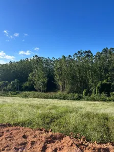 Lote/Terreno à venda, 500m² no Chácara Represinha, Cotia