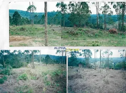 Lote/Terreno à venda, 1550m² no Invernada, Embu das Artes