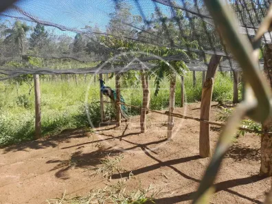 Fazenda/Sítio com 3 Quartos à venda, 10m² no Engenheiro Marsilac, São Paulo