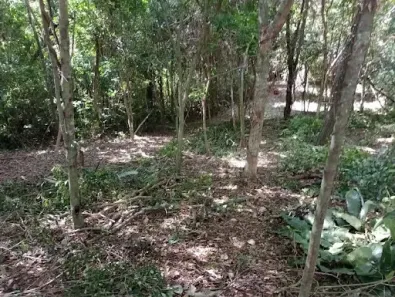 Lote/Terreno à venda, 720m² no Granja dos Cavaleiros, Macaé
