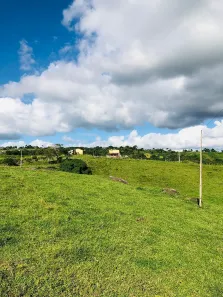 Fazenda/Sítio à venda, 620000m² no , Serraria