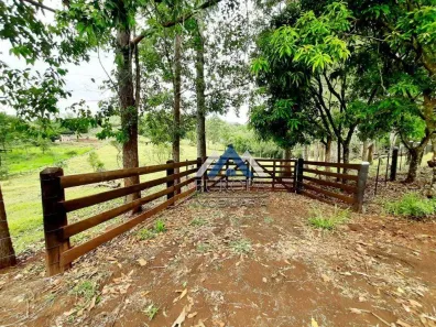Lote/Terreno à venda, 20000m² no Maravilha, Londrina