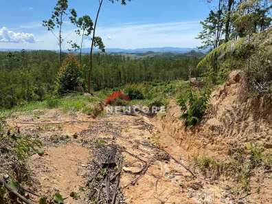 Lote/Terreno à venda, 22000m² no Rocinha, Guaratinguetá