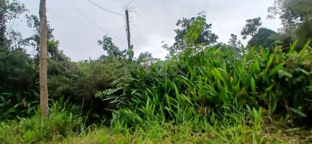 Lote/Terreno à venda, 5100m² no Gaivota (Interior), Itanhaém