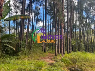 Lote/Terreno à venda, 230000m² no Centro, Santa Isabel