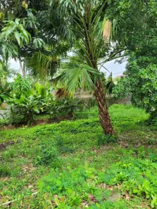 Lote/Terreno à venda, 450m² no Engenho do Mato, Niterói