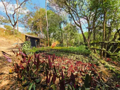Fazenda/Sítio com 1 Quarto à venda, 3200m² no Área Rural de Divinópolis, Divinópolis