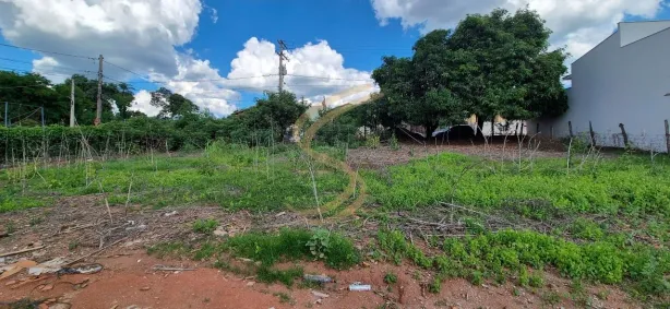 Lote/Terreno à venda, 600m² no Vila Formosa, São José do Rio Pardo