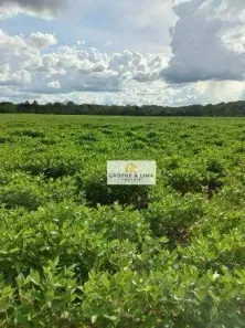 Fazenda/Sítio com 6 Quartos à venda, 900m² no Setor Central, Araguaína