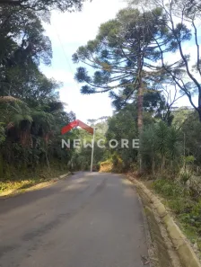 Lote/Terreno à venda, 81555m² no Centro, São Francisco de Paula