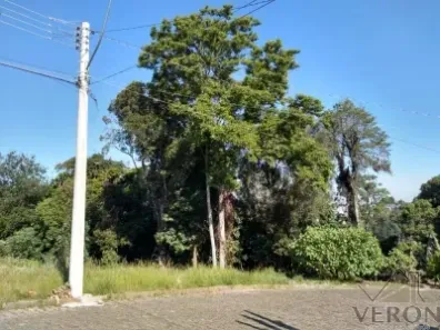 Lote/Terreno à venda, 2140m² no Panazzolo, Caxias do Sul