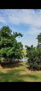 Fazenda/Sítio à venda, 24200m² no Zona Rural, Monte Aprazível