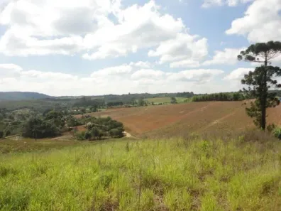Lote/Terreno à venda, 78382m² no Terras de São Felipe (Caucaia do Alto), Cotia