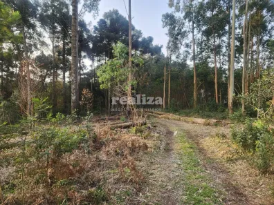 Ponto Comercial à venda, 5000m² no Estrada Linha Avila, Gramado