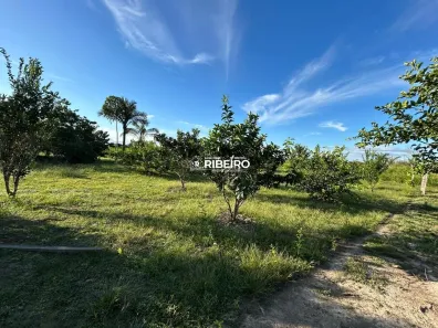 Fazenda/Sítio com 3 Quartos à venda, 10000m² no Área Rural de Porto Velho, Porto Velho
