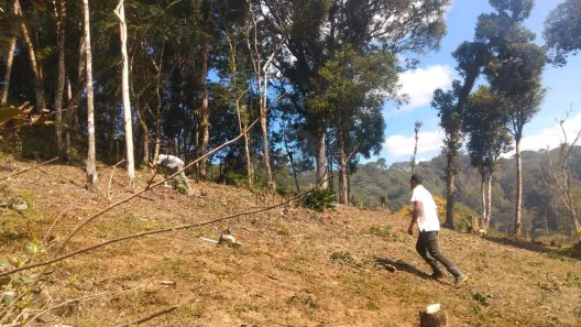 Lote/Terreno à venda, 6765m² no , Juquitiba