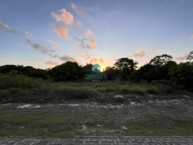 Lote/Terreno à venda, 700m² no , Mata de São João