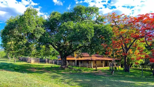 com 4 Quartos à venda, 41m² no Área Rural de Araguari, Araguari