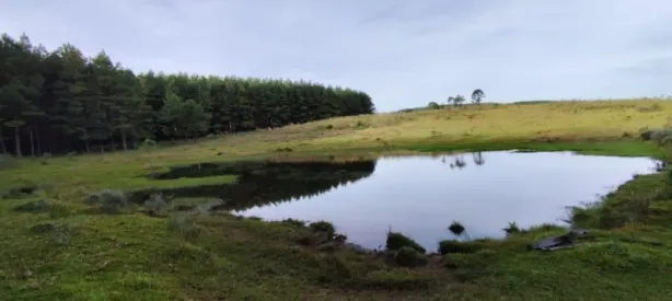 Fazenda/Sítio à venda, 500000m² no Centro, São Francisco de Paula